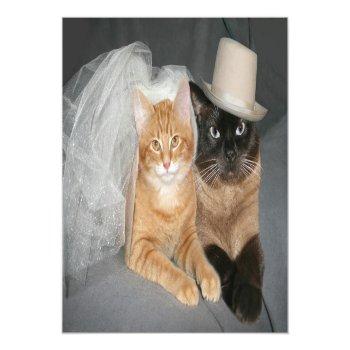 Kitty Bride And Groom Postcard Front View