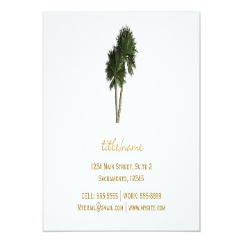 Palm Trees On White Elegant Business Cards Front View